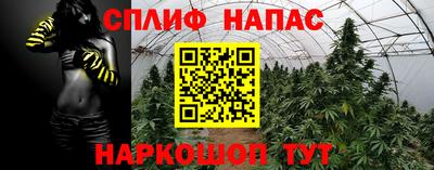 прущие грибы Кулебаки