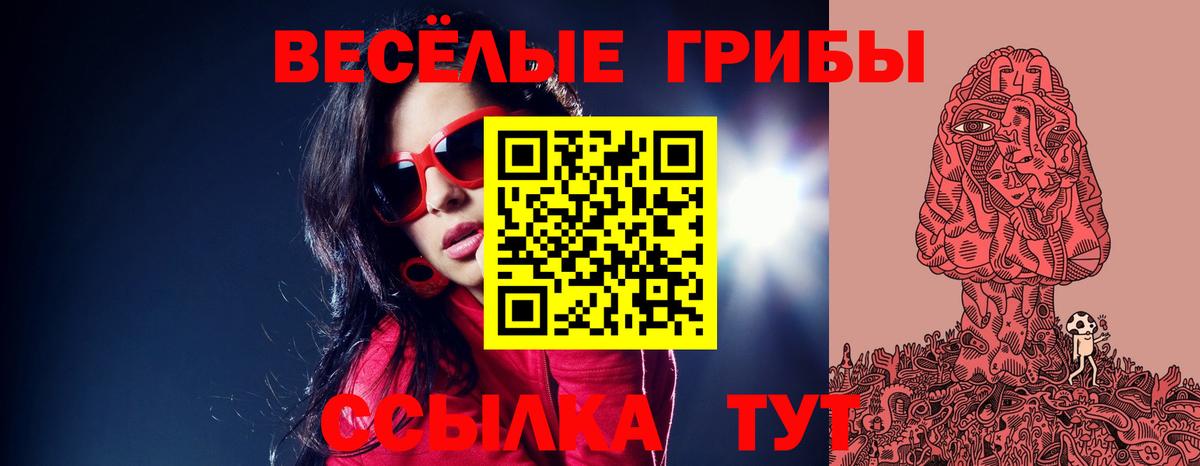 Галлюциногенные грибы прущие грибы  закладки  Егорьевск  Вход с VPN 